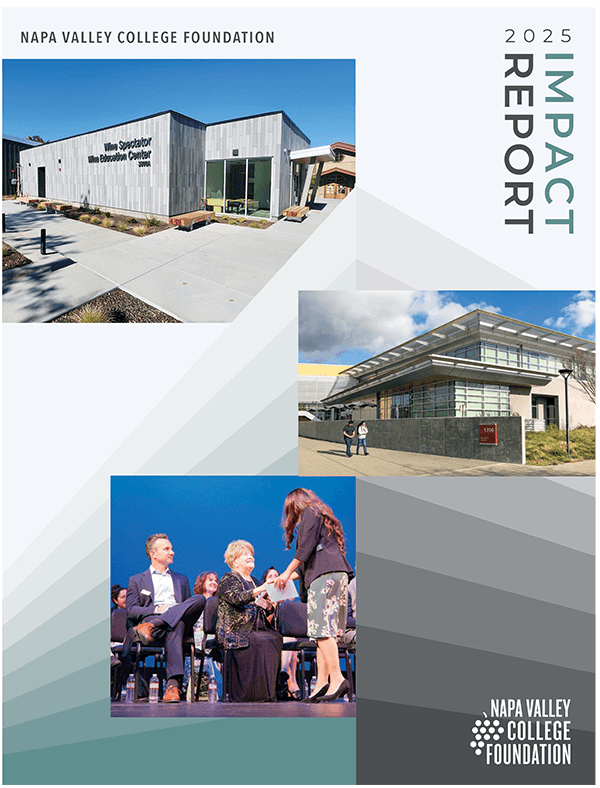 2025 NVC Foundation Report